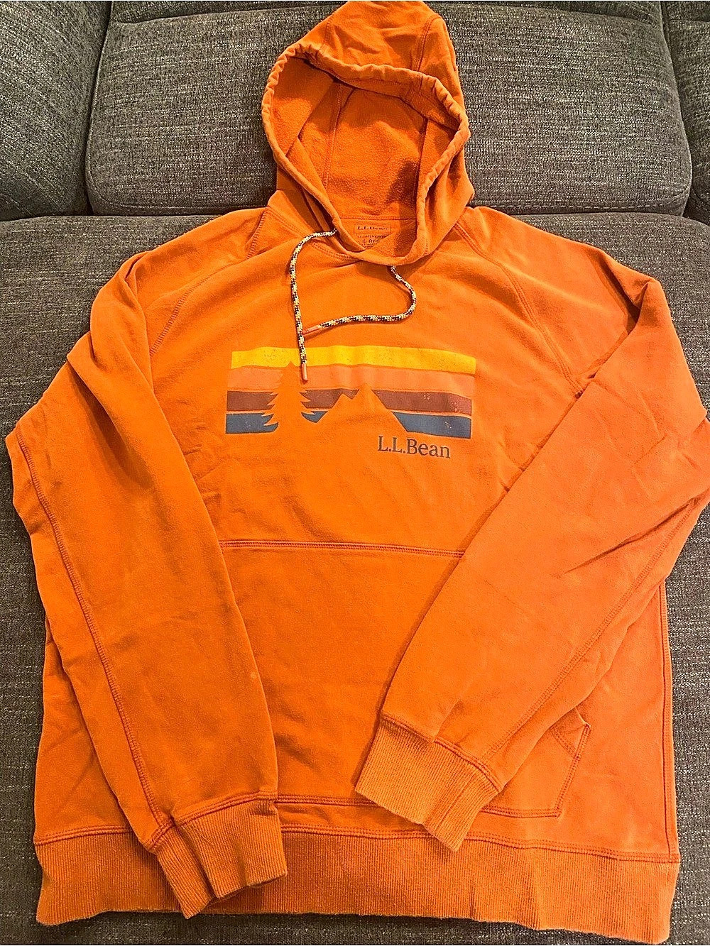 Large.Large.Bean Sunset Mountain Graphic Hoodie Orange Large